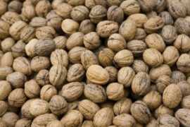 Орехи, чернослив и семечки защитят от ишемического инсульта