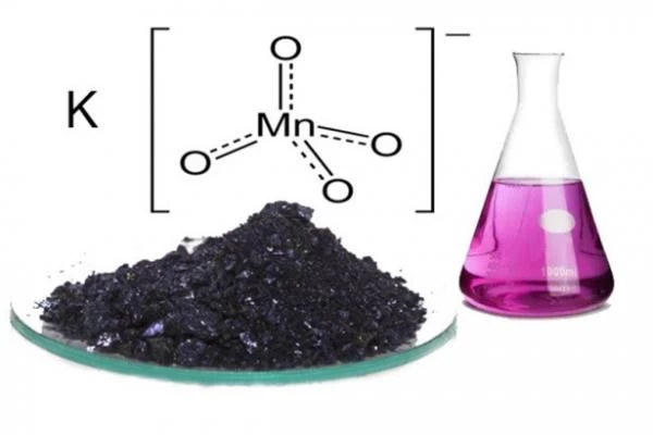 Sohilda jinsiy aloqa porno video ruscha tarjima bilan