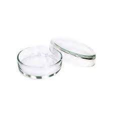 Чашки Петри (стекло) RT-G-1177-100 диаметр дна - 100 мм / высота - 20 мм