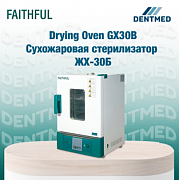Sterilizator ZH-30B