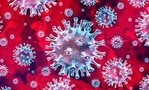 Мифы и ложные представления о коронавирусе