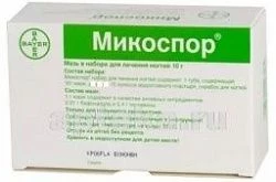 Mikospor