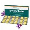 Таблетки Cystone forte, 60 г, 60 шт.:uz:Cystone forte, 60 g, 60 dona.