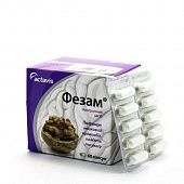 FEZAM kapsulalar  400/25 mg N60