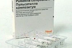 Пульсатилла