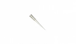 Pipetka uchlari shaffof, hajmi 10 µl