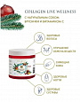 Коллаген для суставов, связок, кожи и волос, Collagen Live Wellness