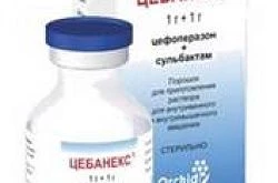 ЦЕБАНЕКС порошок 2г N1