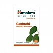 Препарат Guduchi Гудучи иммуностимулятор