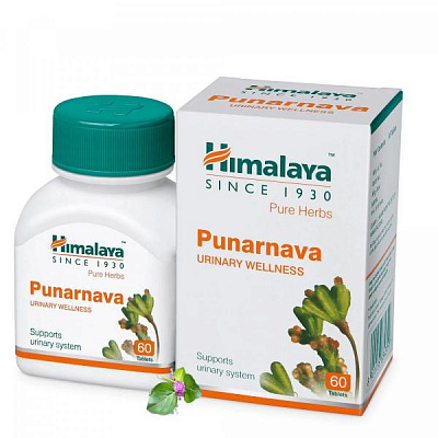 Препарат Пунарнава Хималая, Punarnava Himalaya, для почек:uz:Punarnava Himoloy, buyraklar uchun