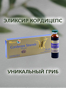 Kordiseps eliksiri ampulalarda