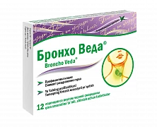 BRONXO VEDA ledensi so vkusom smorodini N12