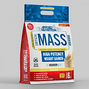 Gainer ORIGINAL FORMULA - KRITIAL MASSA 6KG (qulupnay 25 PORMUNA), Kritik massa