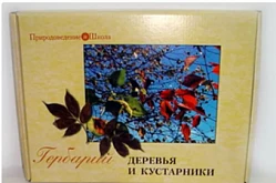Гербарий - деревья и кустарники (20 видов)