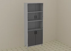 Laboratoriya shkafi 800*400*2000 mm