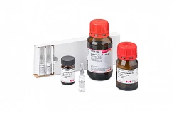 Реактив Фолина-Чокалтеу:uz:Reaktiv Folin-Chokaltéu