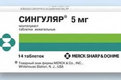 Сингуляр