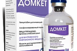 DOMKET
