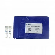 Реакционная смесь x-VITA MasterMix для ПЦР (2x), 2 x 1,25 мл