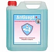 Antisept + антисептическое средство