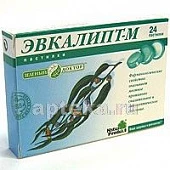 Эвкалипт