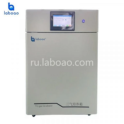 Инкубатор CO2 O2 N2 Инкубатор CO2 O2 N2