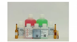 L-аскорбиновая кислота