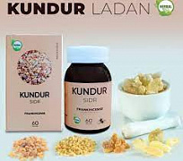 Kundur kapsulalar