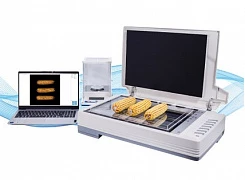 Тест-анализатор семян кукурузы