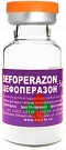 Sefoperazon-Sanita