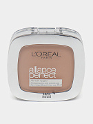 Пудра L'Oreal Paris Alliance Perfect R3 Бежево-розовый