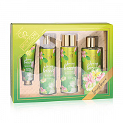 Подарочный набор - body care collection 4198 Golden Rose