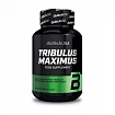 Витамины для мужчин Tribulus Maximus, BioTech USA, 90 таблеток:uz:Erkaklar uchun vitaminlar Tribulus Maximus, BioTech USA, 90 tabletka