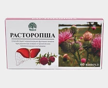 Расторопша — натуральная поддержка печени при любых нагрузках