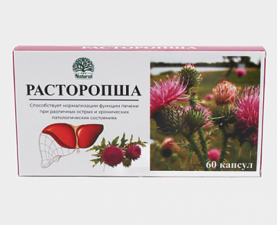 Расторопша — натуральная поддержка печени при любых нагрузках:uz:Rastoropsha — jigarni tabiiy qo‘llab-quvvatlash vositasi