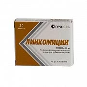 LINKOMISIN 0,25 kapsulalar  N20