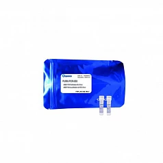 Полимераза x-VITA Hot Start Taq MasterMix, 2 x 1,25 мл