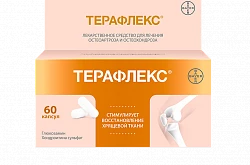 ТЕРАФЛЕКС капсулы N60