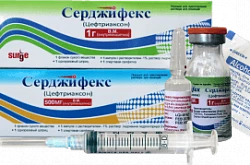 Серджифекс