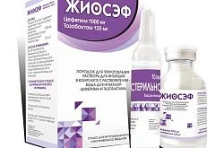 ЖИОСЭФ порошок 1000мг+150 мг N1