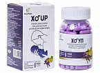 XOUP kapsulalar  N100