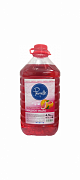 Suyuq sovun 4500 ml