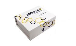 Ферменты для диагностики и исследований Abbexa