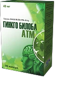 GINKGO BILOBA kapsulalar  40mg N30