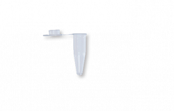 PCR naychalari 0,2 ml, 1000 dona / paket