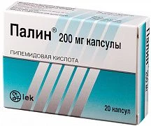 Палин
