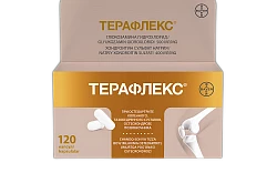 ТЕРАФЛЕКС капсулы N120