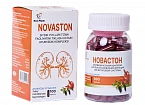 NOVASTON kapsulalar  N100