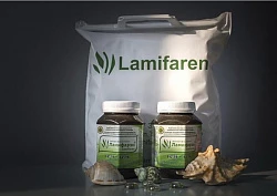 Ламифарэн гель