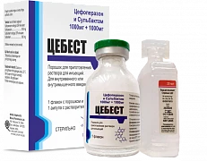 Цебест порошок 1000мг N1